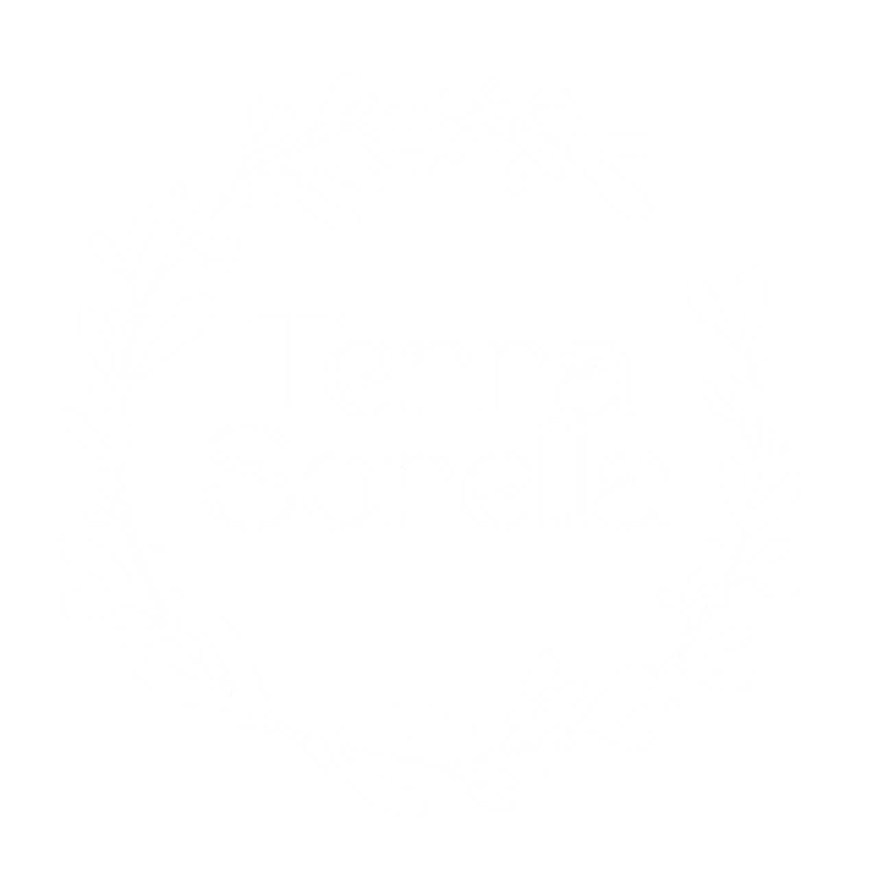 Terrasorellablanco Photoroom Terrasorellablanco Photoroom